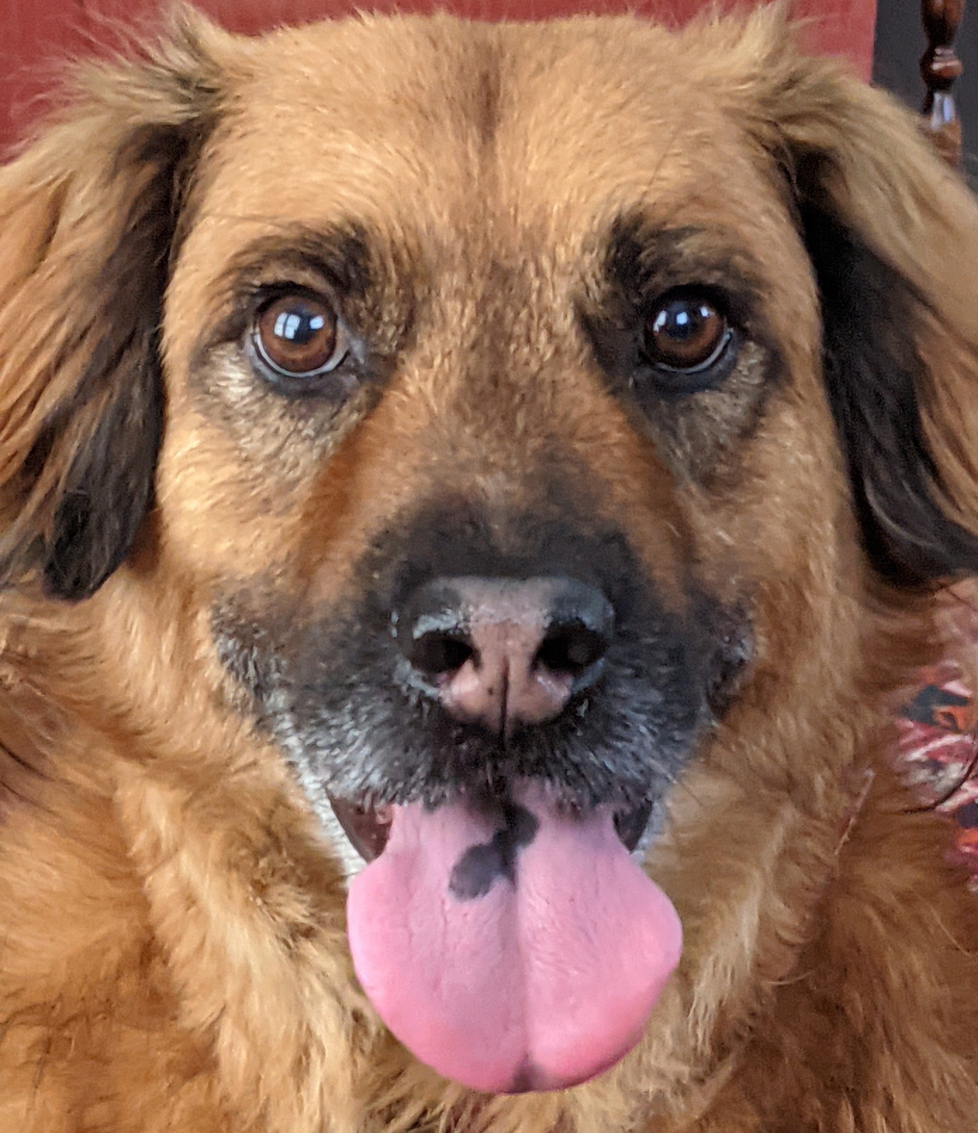 Nasalizing Vowels and Dropping Nasal Consonants