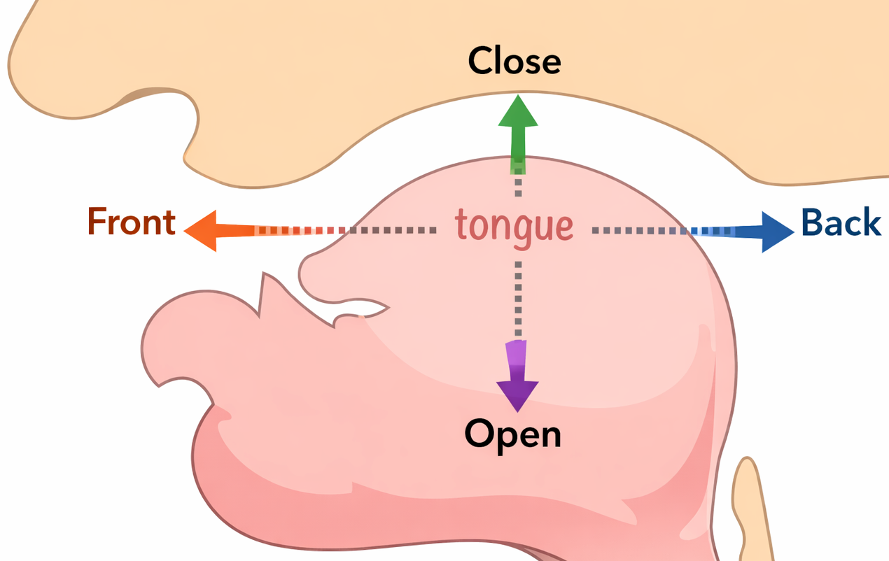 Introduction to Accents 3: Placement
