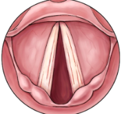 How to Speak with Thick Vocal Folds (Chest Resonance)